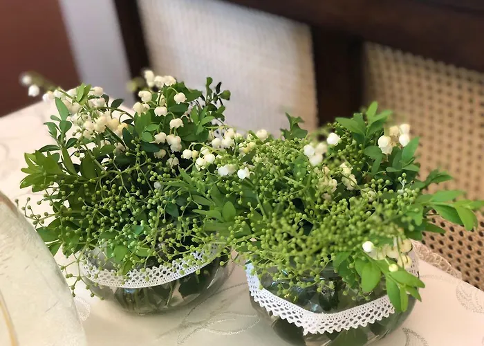 Bialy Kruk * Starogard Gdański